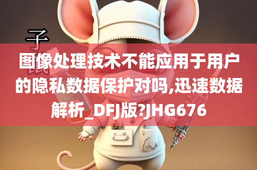 图像处理技术不能应用于用户的隐私数据保护对吗,迅速数据解析_DFJ版?JHG676