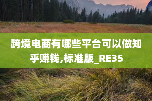 跨境电商有哪些平台可以做知乎赚钱,标准版_RE35