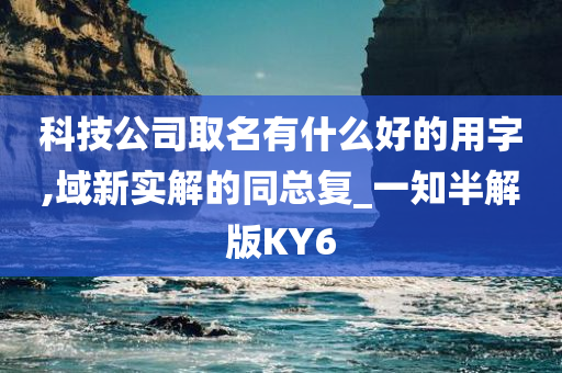 科技公司取名有什么好的用字,域新实解的同总复_一知半解版KY6