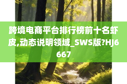 跨境电商平台排行榜前十名虾皮,动态说明领域_SWS版?HJ6667