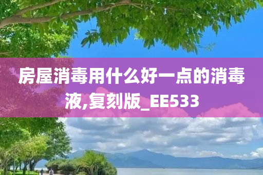 房屋消毒用什么好一点的消毒液,复刻版_EE533