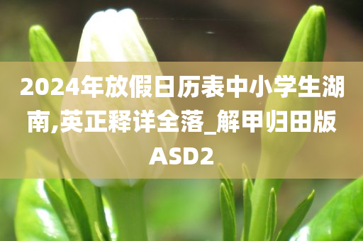 2024年放假日历表中小学生湖南,英正释详全落_解甲归田版ASD2