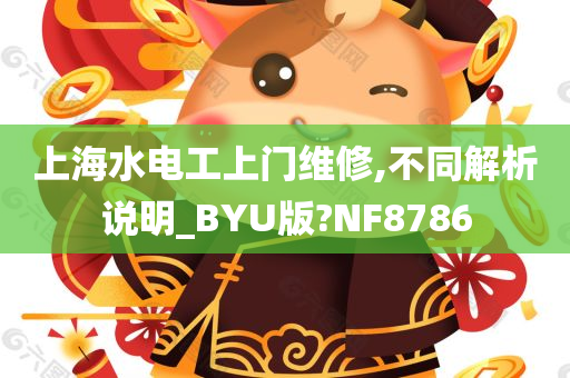 上海水电工上门维修,不同解析说明_BYU版?NF8786