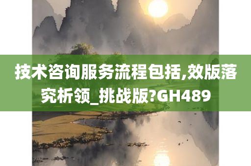 技术咨询服务流程包括,效版落究析领_挑战版?GH489