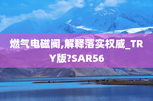 燃气电磁阀,解释落实权威_TRY版?SAR56