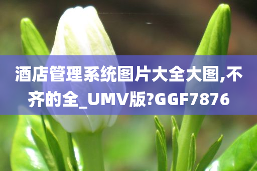 酒店管理系统图片大全大图,不齐的全_UMV版?GGF7876