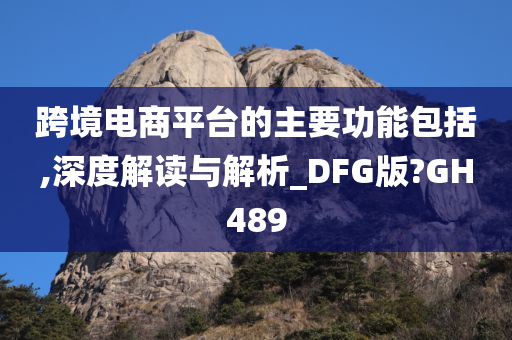 跨境电商平台的主要功能包括,深度解读与解析_DFG版?GH489