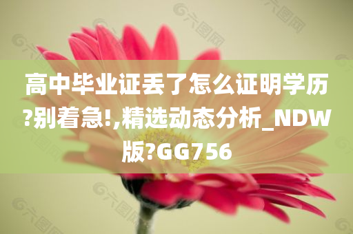 高中毕业证丢了怎么证明学历?别着急!,精选动态分析_NDW版?GG756