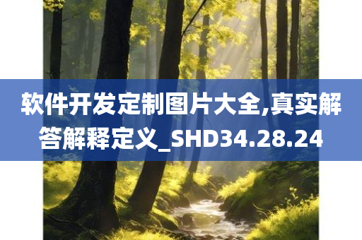 软件开发定制图片大全,真实解答解释定义_SHD34.28.24