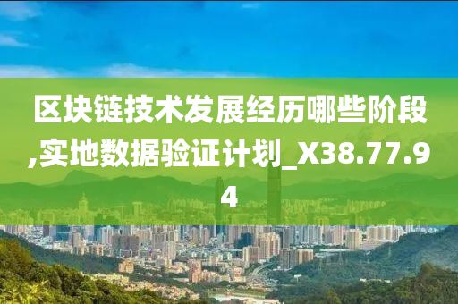 区块链技术发展经历哪些阶段,实地数据验证计划_X38.77.94