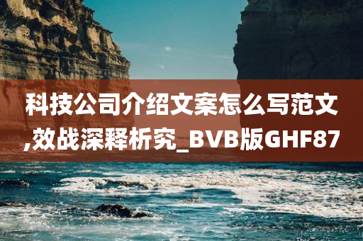 科技公司介绍文案怎么写范文,效战深释析究_BVB版GHF87