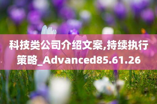 科技类公司介绍文案,持续执行策略_Advanced85.61.26