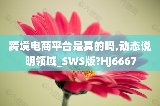 跨境电商平台是真的吗,动态说明领域_SWS版?HJ6667