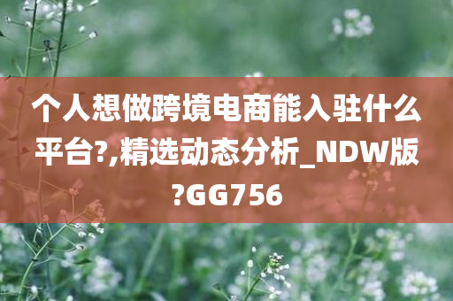 个人想做跨境电商能入驻什么平台?,精选动态分析_NDW版?GG756