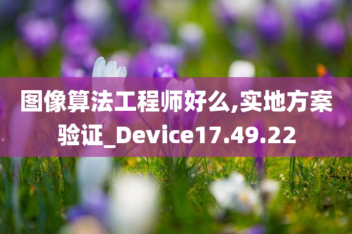 图像算法工程师好么,实地方案验证_Device17.49.22