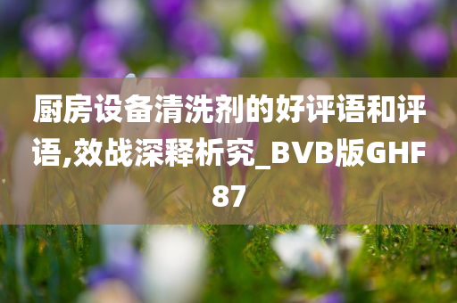 厨房设备清洗剂的好评语和评语,效战深释析究_BVB版GHF87