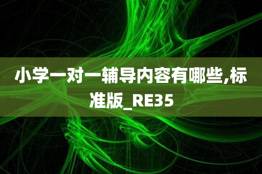 小学一对一辅导内容有哪些,标准版_RE35