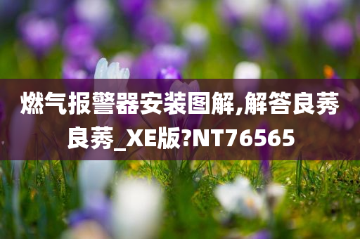 燃气报警器安装图解,解答良莠良莠_XE版?NT76565