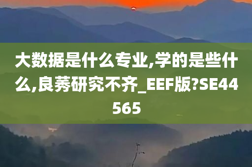 大数据是什么专业,学的是些什么,良莠研究不齐_EEF版?SE44565