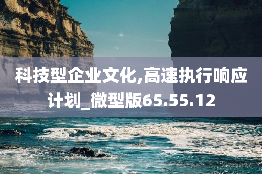 科技型企业文化,高速执行响应计划_微型版65.55.12