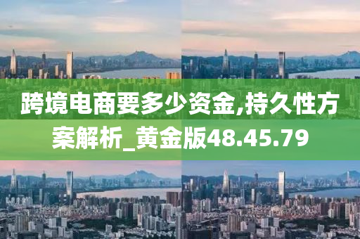 跨境电商要多少资金,持久性方案解析_黄金版48.45.79