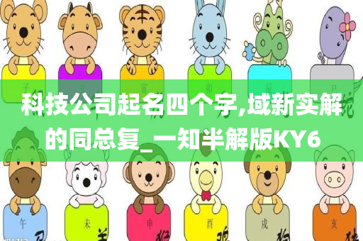 科技公司起名四个字,域新实解的同总复_一知半解版KY6