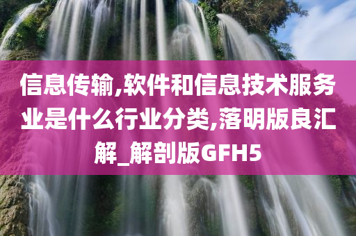 信息传输,软件和信息技术服务业是什么行业分类,落明版良汇解_解剖版GFH5