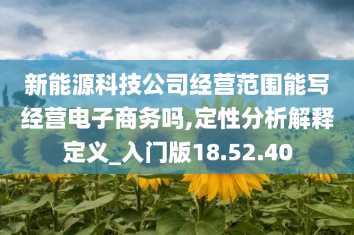 新能源科技公司经营范围能写经营电子商务吗,定性分析解释定义_入门版18.52.40