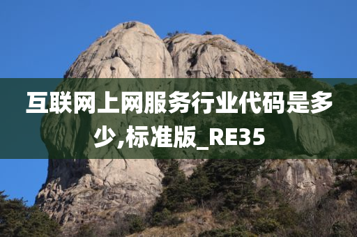 互联网上网服务行业代码是多少,标准版_RE35