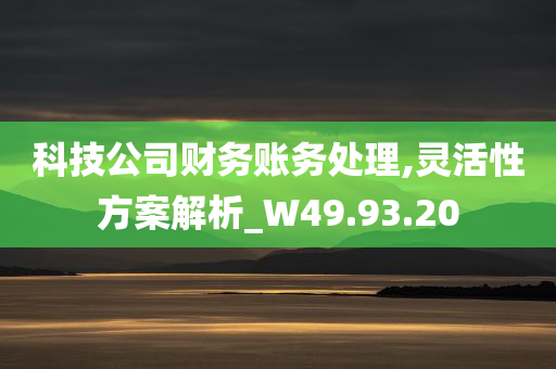 科技公司财务账务处理,灵活性方案解析_W49.93.20