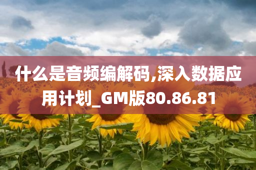 什么是音频编解码,深入数据应用计划_GM版80.86.81