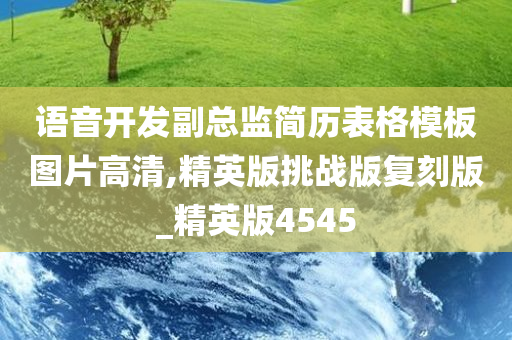 语音开发副总监简历表格模板图片高清,精英版挑战版复刻版_精英版4545