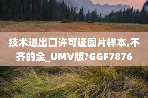 技术进出口许可证图片样本,不齐的全_UMV版?GGF7876