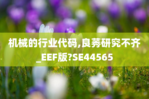 机械的行业代码,良莠研究不齐_EEF版?SE44565