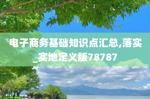 电子商务基础知识点汇总,落实_实地定义版78787