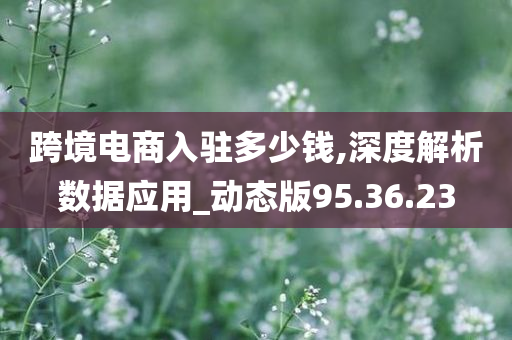 跨境电商入驻多少钱,深度解析数据应用_动态版95.36.23