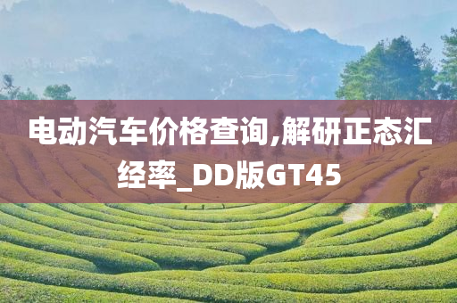 电动汽车价格查询,解研正态汇经率_DD版GT45