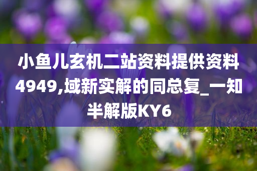 小鱼儿玄机二站资料提供资料4949,域新实解的同总复_一知半解版KY6