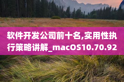 软件开发公司前十名,实用性执行策略讲解_macOS10.70.92