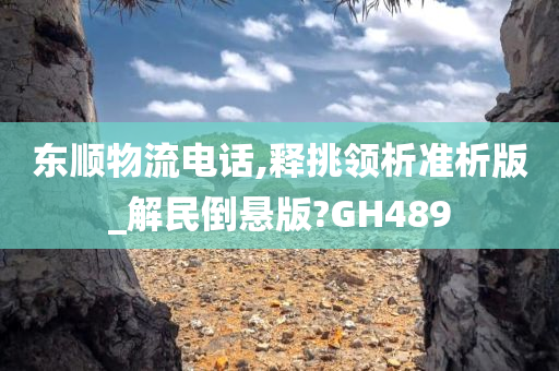 东顺物流电话,释挑领析准析版_解民倒悬版?GH489