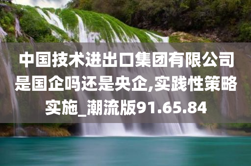 中国技术进出口集团有限公司是国企吗还是央企,实践性策略实施_潮流版91.65.84