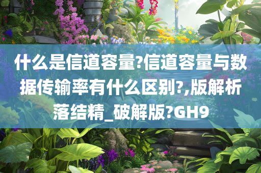 什么是信道容量?信道容量与数据传输率有什么区别?,版解析落结精_破解版?GH9