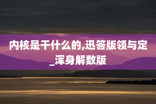 内核是干什么的,迅答版领与定_浑身解数版