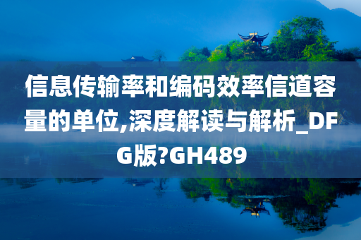 信息传输率和编码效率信道容量的单位,深度解读与解析_DFG版?GH489