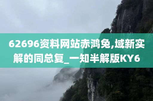 62696资料网站赤鸿兔,域新实解的同总复_一知半解版KY6