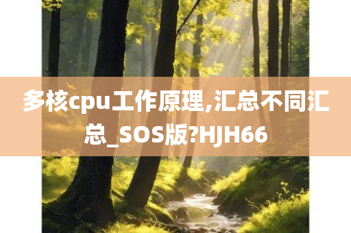 多核cpu工作原理,汇总不同汇总_SOS版?HJH66