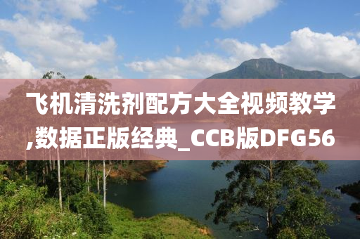 飞机清洗剂配方大全视频教学,数据正版经典_CCB版DFG56