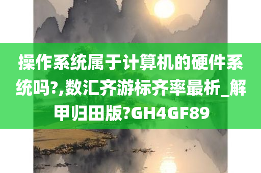 操作系统属于计算机的硬件系统吗?,数汇齐游标齐率最析_解甲归田版?GH4GF89