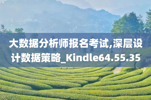 大数据分析师报名考试,深层设计数据策略_Kindle64.55.35