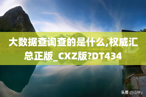 大数据查询查的是什么,权威汇总正版_CXZ版?DT434